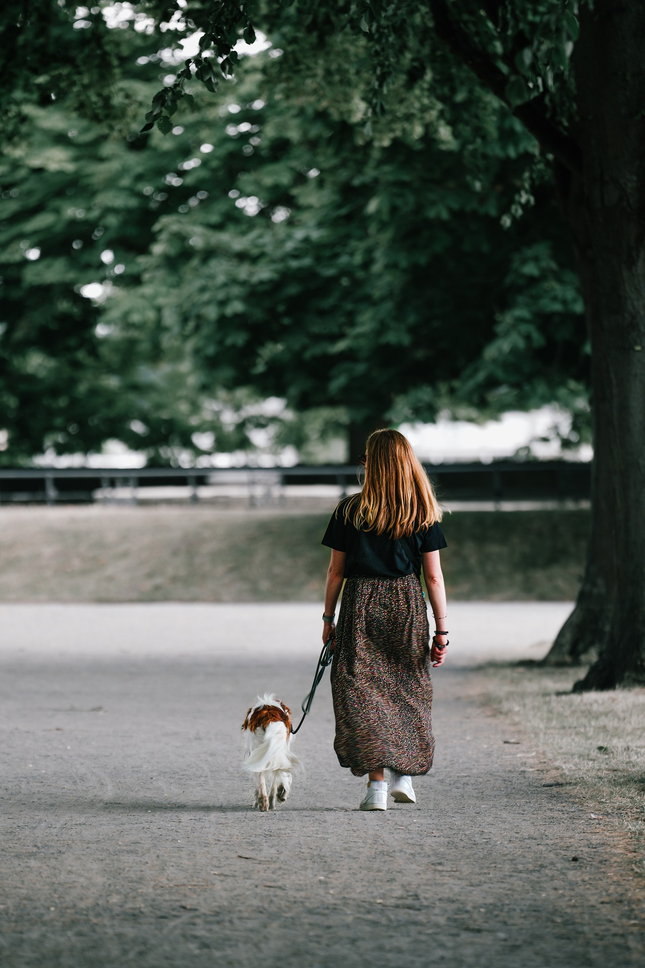 Une femme qui promène son chien en laisse