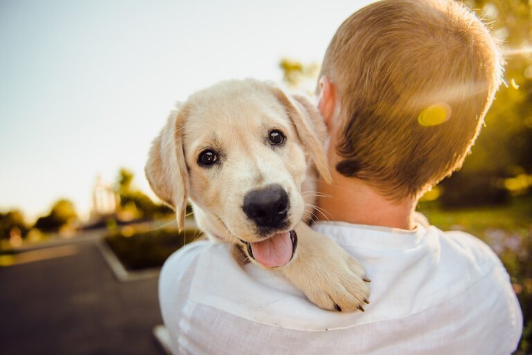 Un homme qui sert son chiot dans ses bras